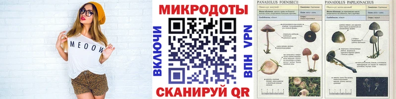 Галлюциногенные грибы Magic Shrooms  Грозный 